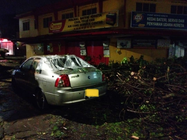 暴风雨时树倒压毁的汽车，可向市议会索赔。