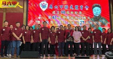 王晓庭：甲柔为例  政治稳定经济才起飞