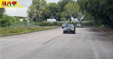 金谷镇PE 3路太直了  司机骑士狂踩油门