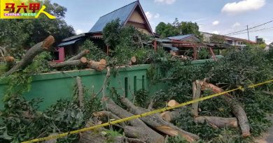 老树断裂砸屋顶车房  断电逾10小时