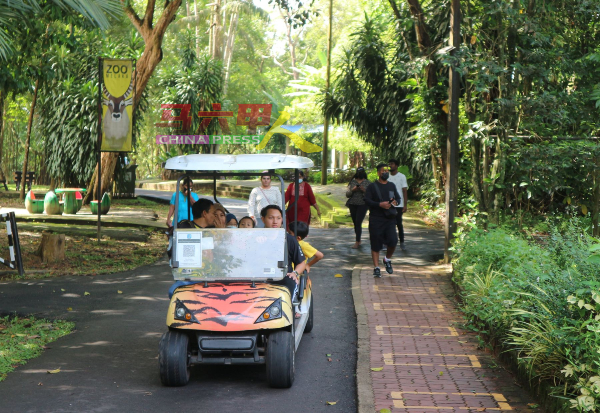 动物园也有提供导览车服务，尤其让长者及行动不便者可在舒适情况下参观动物园。