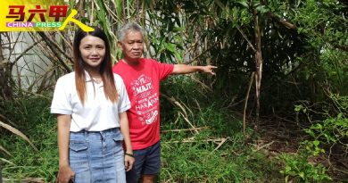 市厅辖下空地杂草丛生 林朝雁：别有投诉才行动