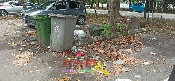一些商家喜欢将垃圾桶放在水泥砖块处，增添车主的不便，现场也布满落叶，相信已有一段时间没有人清扫。