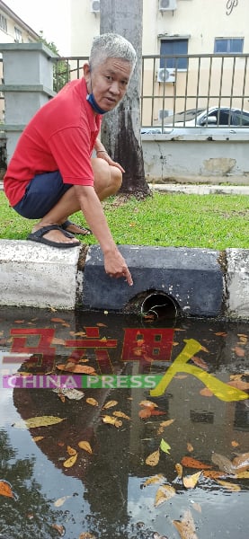 陈书泉怀疑路边的排水口被枯叶阻塞了，导致积水迟迟不退。