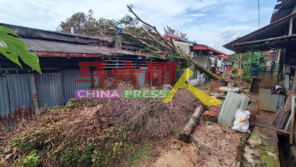 商家担心倒下的重大树干长时间压着屋顶，影响店屋结构而塌下。