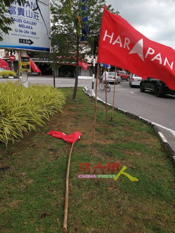 ■一些旗帜相信承受不了狂风大雨吹袭而倒下。