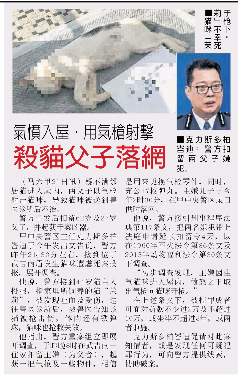 《中国报》报导猫咪“茉莉”死于枪下新闻。