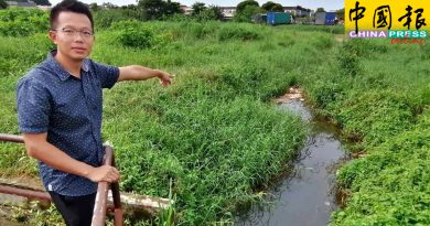 沟堤建在排水口 市民敲洞排流草地积水