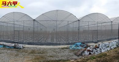 节省成本 收成更好  农民研发覆盖网室种植