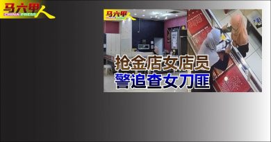 孕妇寻刺激持刀劫金店  遭警逮捕归案