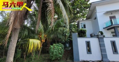 荒地长杂草．树木长过界    毗邻小丛林 蛇狸闯我家