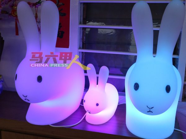 配合兔年的灯饰兔子，十分应景。