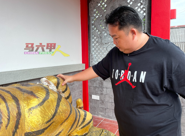 颜志勤告诉《中国报》，“金虎”生肖吉祥物的尾巴完全脱落，即使理事修补，也无法还原金虎原貌。