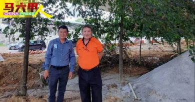 现代化建设取代花卉种植 提升美化 天桥底空间