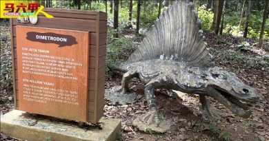 ◤今日马六甲头条◢ 栖身植物园内没人打理  恐龙褪色如患重病