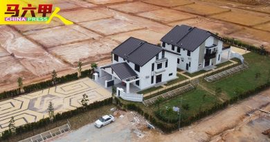 屋业发展蓬勃人口增  带动武吉卡迪  野新经济