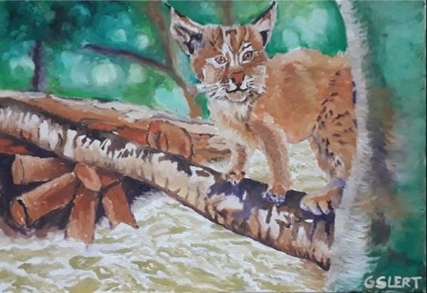 森林法庭绘本第37幅油画：来不及逃跑的山猫！它究竟是被树桐撞死，抑或淹死？