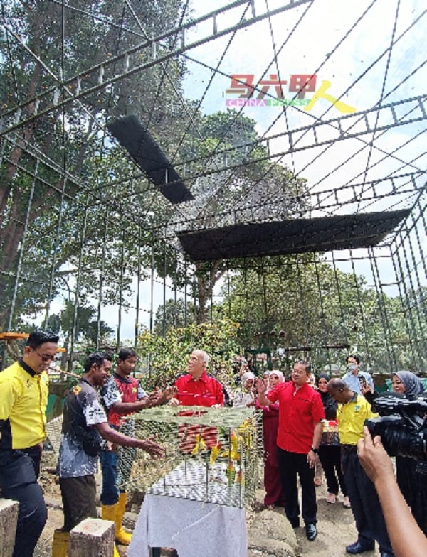 鳄鱼园增设爱情鸟，除了鳄鱼及其他动物，游客也能前来欣赏爱情鸟。