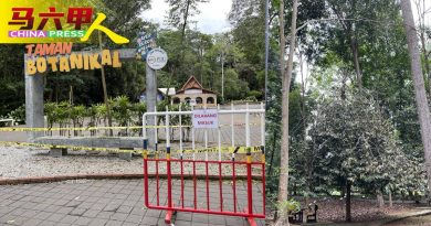 清理倒樹暫時關閉數天  甲植物園今午重開