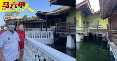 荷兰街“水上屋”  长蚊虫 空置多年 民众忧蚊症