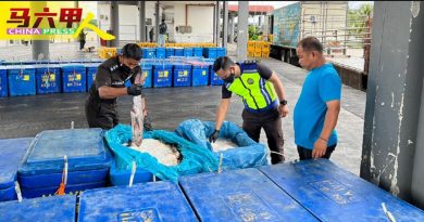 在港口接收进口农作物海产 MAQIS去年进账8.2万