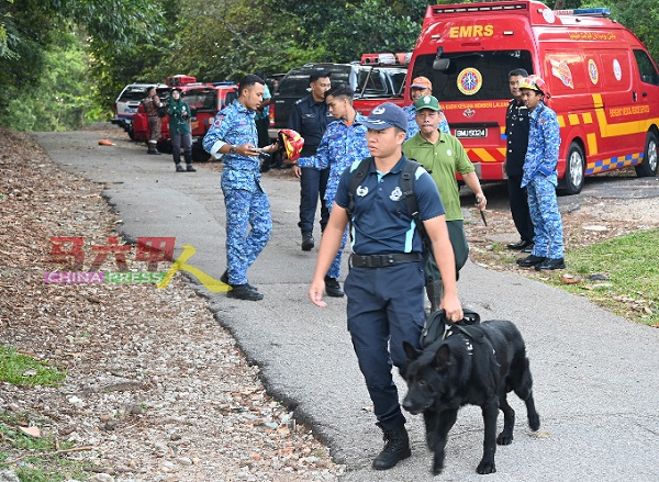 ■搜救犬沿着失踪者曾走过的路线，开始搜寻。
