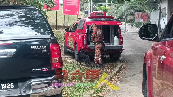 来自吉隆坡的消拯局搜救犬，被派到熊山寻找失踪者。