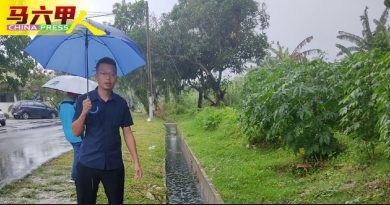 佳林园翻板门起应急作用 河水若续涨  仍会淹