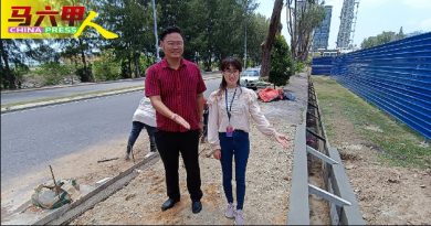 树倒压坏围墙排水管 修复工程  快完成