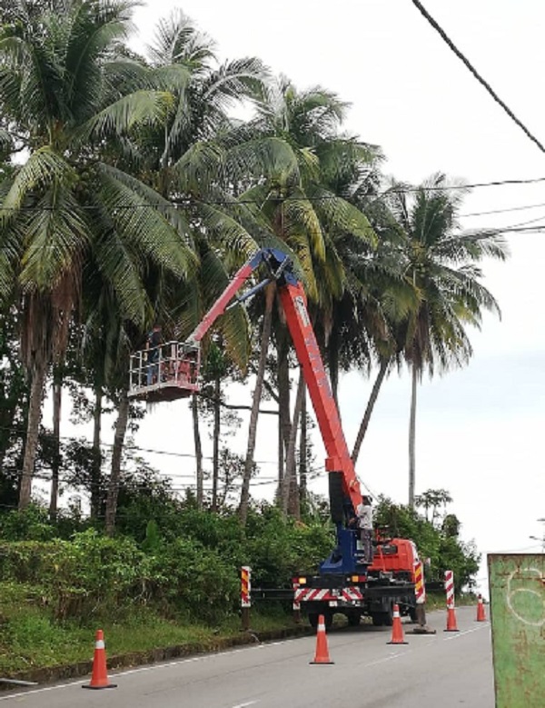 ■地主安排吊车及工人，修砍倾斜的椰树。