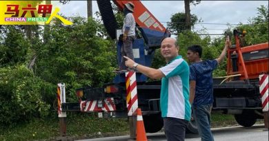 路旁倾斜椰树   终砍了 马士丹那华小家长安心
