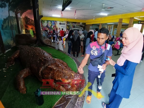 鳄鱼园展出约20尺巨型鳄鱼标本，是该园镇园之宝。