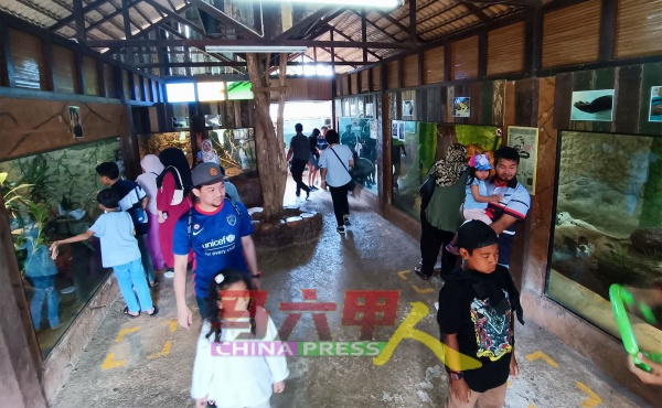 学校假期期间，有许多家庭游客到来参观马六甲鳄鱼园。