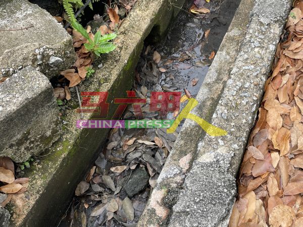 不少沟渠中拥有大量枯叶沉淀物，严重影响排水顺畅度。