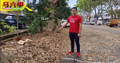 近两个月没清理 爱极乐多区落叶堆积