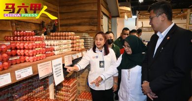 天气佳  产量增  需求减 甲菜价比其他州属低