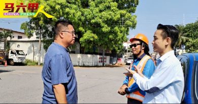 纠缠电缆大树勿随意修砍 邓永森：免发生触电意外