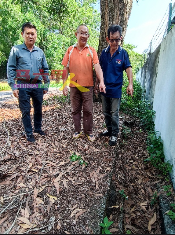邱焕新（右起）与邱焕光在林千宏陪同下，指出堆满落叶的沟渠。