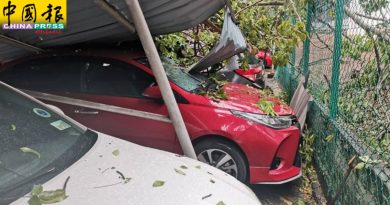 暴风雨袭亚罗牙也 多地树倒毁车