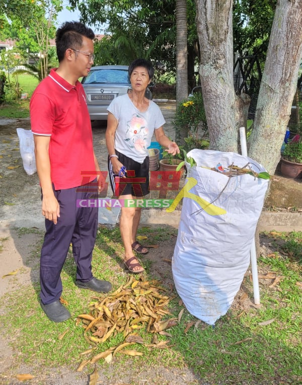 陈亚凤（右）每天都会收拾住家前草场的落叶及树枝，然后置放路边让清洁工友收集。左为罗舜生。