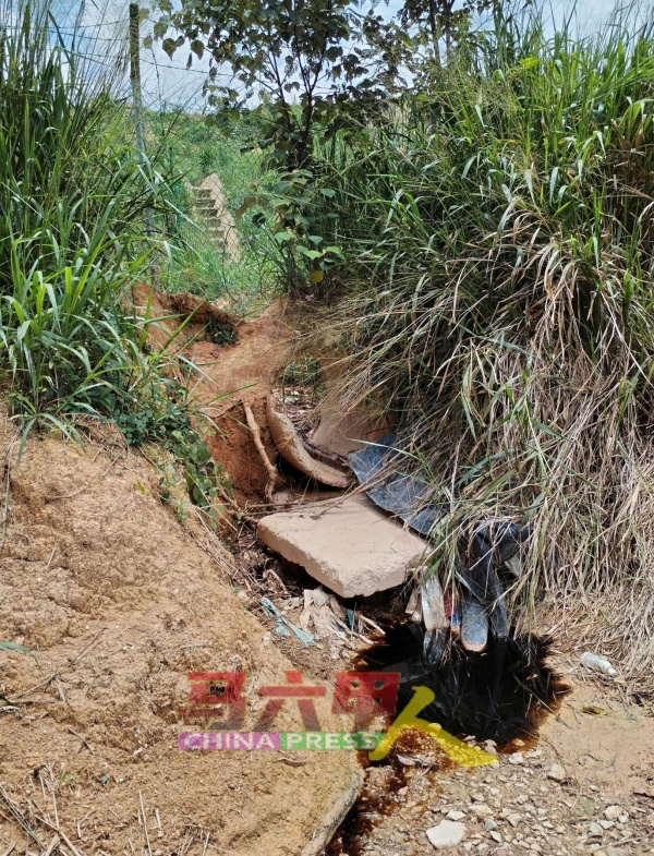 陈如源意外发现被人偷偷装设一个涵管，将污水排入其农地。