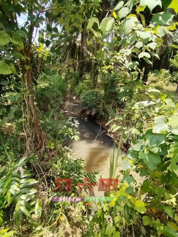 阿依沙叻河在近两周呈黑色，且飘散出恶臭味。