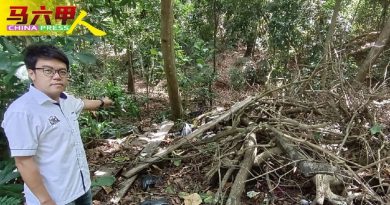 橱柜工业鞋．罗厘载来丢 熊山下 垃圾一堆堆