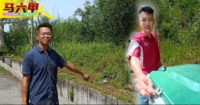 峇株安南伯乐镇 民众投喂  野猴为患