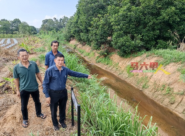 林千宏（右）在村民周开政（左）及许介宗陪同下，了解阿依沙叻河受污染的程度。