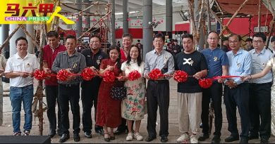 文化嘉年华会资料展 登场 致力传承弘扬中华文化