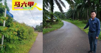 “CMI INFRA”割草更草率    村民忧蛇虫鼠蚁滋生