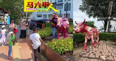 泥土流失模型摇摇欲倒 别再   骑荷兰牛   拍照了！