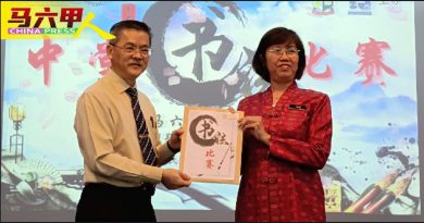 邓艾琳：提升艺术修养 书法   承载民族智慧