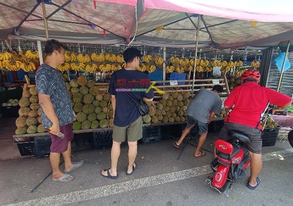 ■榴梿季节来临，有不少食客开始到水果摊选购榴梿。